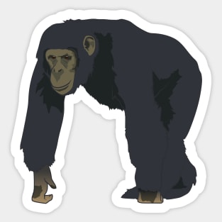 Chimpanzee Sticker